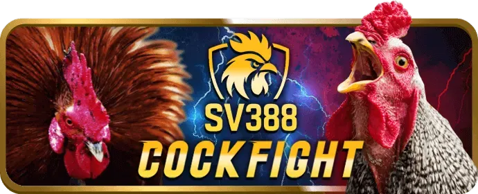 Ưu Đãi Thành Viên KU88 Code